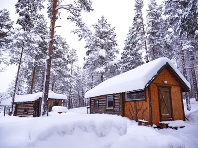 домик в лесу :: лес :: сычевальня :: Природа (красивые фото природы: моря,  озера, леса) :: дом :: фото / смешные картинки и другие приколы: комиксы,  гиф анимация, видео, лучший интеллектуальный юмор.