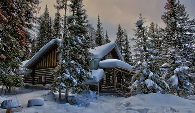 Домик в лесу зимой - 76 фото