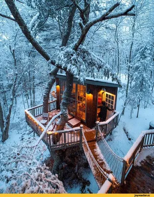 Дом ночью зимой в лесу - 78 фото
