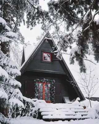 Дом в лесу у озера зимой - 77 фото