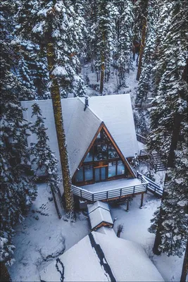 Зимняя фотосессия в лесу | Зимний дом, Зимний домик для отдыха, Домики