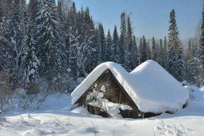 дом в заснеженном лесу | Winter house, Winter cabin, Cabins in the woods