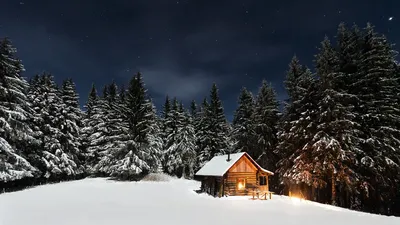 🌲 Снять домик в лесу в подмосковье 🌲