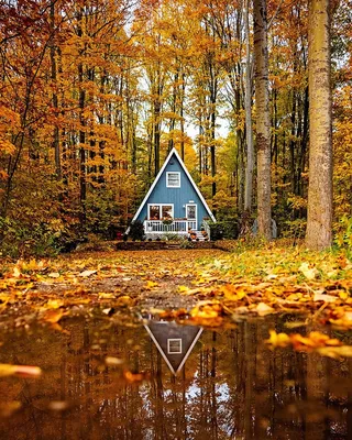 Фото Деревянный домик в осеннем лесу