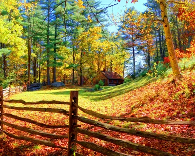 Домик в лесу осенью (68 фото) - фото - картинки и рисунки: скачать бесплатно