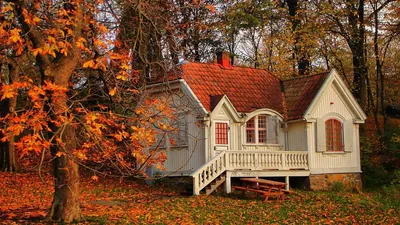 Дом в осеннем лесу (57 фото) - 57 фото