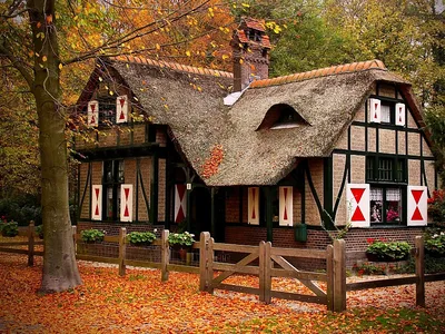традиционный японский дом в осеннем лесу, загородный дом в америке, Hd  фотография фото фон картинки и Фото для бесплатной загрузки