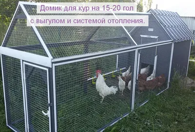 Домик для кур с выгулом внутренним освещением и обогревом. купить, цена