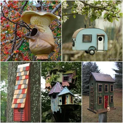 Домики для птиц в саду - 64 фото