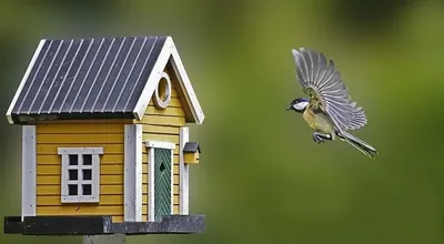 Кормушки и домики для птиц. Сайт магазина ЗооПуть - Зоомагазин