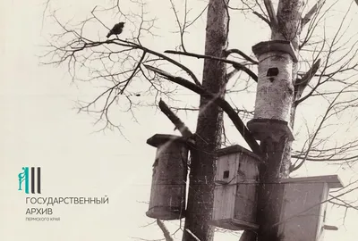 Домики для птиц в саду (67 фото) » НА ДАЧЕ ФОТО