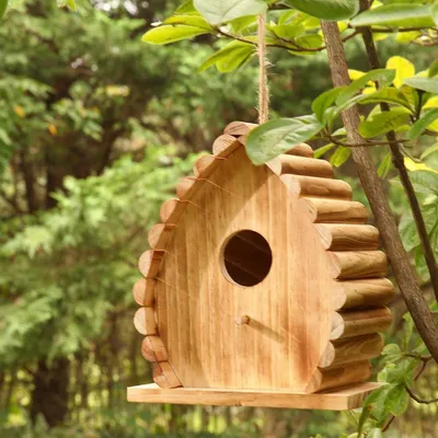 домики для колибри для подвешивания снаружи, хижина для птиц из натуральной  травы, гнездо для колибри ручной работы, птичий домик для большого  крапивника для садового окна, наружное украшение для дома 2023 - US $7.79