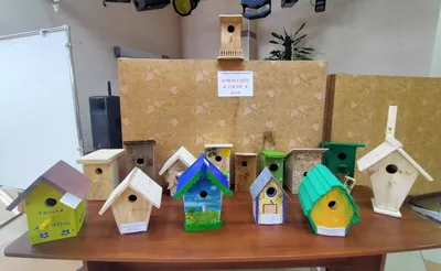 Кормушки и домики из дерева для птиц. Оригинальные идеи для дачи и сада  своими руками - YouTube
