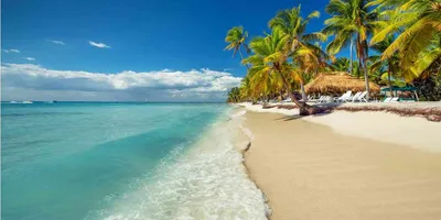 Отдых в Доминикане. Все что нужно знать о Доминикане: климат, курорты,  кухня, виза