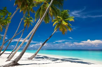 Доминикана – этоостровное государство, уютно расположившееся в Карибском  море