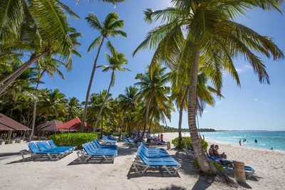 О Доминикане. Доминикана - это страна контрастов. Невероятно красивый океан  - на севере и уютное Карибское море - на юге. Кристально… | Instagram