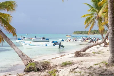 Карибское побережье Доминиканы 🌊: курорты и пляжи 🏝