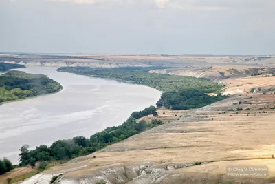 Река Дон. Что за рыба в водоеме? | Всё обо всём | Дзен