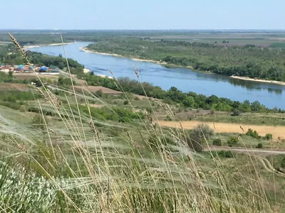 Дон (Волгоградская область, Городищенский район)