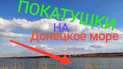 Просто кишат». Дончане делятся фото и впечатлениями от отдыха на Донецком  море и Кальмиусе | DonPress.com
