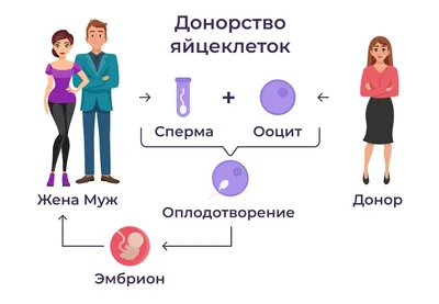 Донорство яйцеклеток в Харькове и Киеве | Как стать донором яйцеклетки?