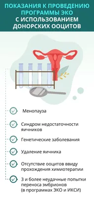 Стать донором яйцеклетки в Украине | Артемида