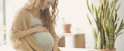 ДОНОРСТВО ЯЙЦЕКЛЕТОК / ПРИГЛАШАЕМ К СОТРУДНИЧЕСТВУ. Как стать донором  яйцеклеток в клинике «Мать и дитя» Тула? Не у всех семейных пар… | Instagram