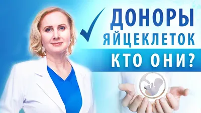 Донорство яйцеклетки Киев, Донор ооцитов — daryna-plus.com