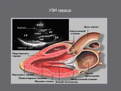 ВИКЛАДАННЯ ГЕРИАТРИЧЕСКОЙ МЕДИЦИНИ СІМЕЙНИМ ЛІКАРЯМ-ІНТЕРНАМ