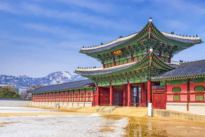 Туры в Южную Корею: что посмотреть. Путеводитель с ценами на отдых |  tripmydream