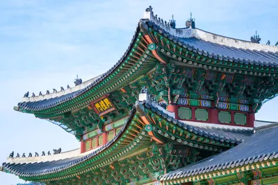 Отдых в Южной Корее: как добраться, что посмотреть из достопримечательностей,  сколько стоит