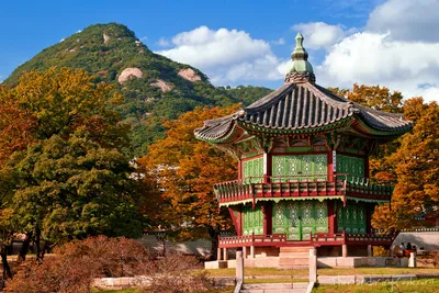 Южная Корея - страна, достопримечательности, досуг, отдых, культурные  особенности, кухня, шопинг