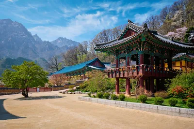 ТОП-10 мест Южной Кореи для романтического отдыха