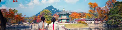Южная Корея: 11 удивительных фактов и особенностей, которые делают ее  уникальной