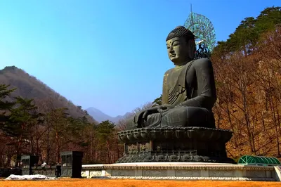Завораживающие реалии Южной Кореи | Пикабу