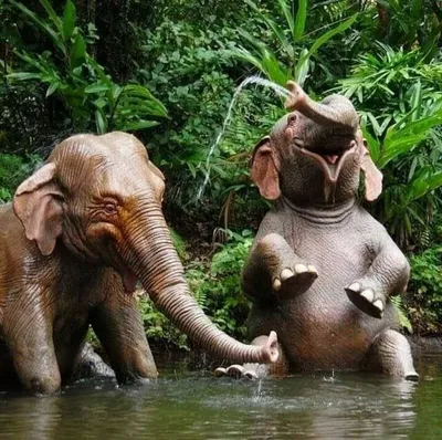 Доволен как слон» - почему так говорят?