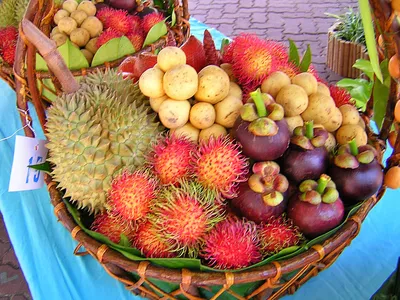 Фрукты Сердце Дракона (питайя) - «Тайский ДРАКОН фрукт, глаз дракона -  ПИТАХАЙЯ: вкус, как его едят, на что похож, как растет, цена, полезные  свойства + много ФОТО» | отзывы