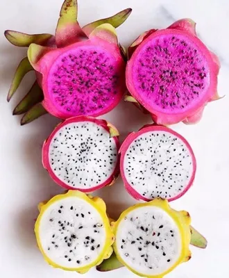 Как растет фрукт дракона (питайя, питахайя, dragon fruit) - YouTube