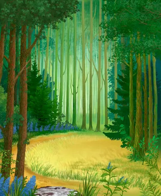 Дремучий лес - красивые фото