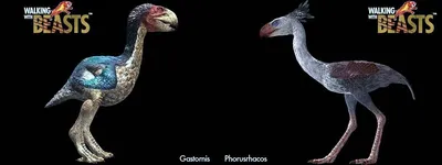 Древние птицы были похожи между собой