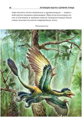 Реквизит для розыгрышей примитивная птица, модель мини-Археоптерикс,  доисторические сцены, фигурка мифического существа, древние птерозавры |  AliExpress