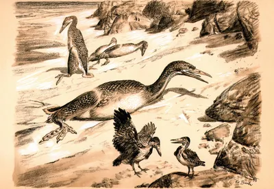 Древние египтяне нарисовали таких реалистичных птиц, что учёные смогли  определить их виды