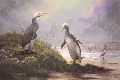 Палеонтологи впервые нашли останки «беременной» древней птицы - ХВИЛЯ