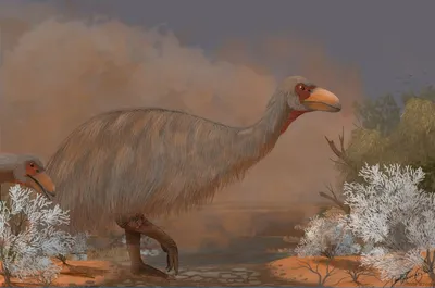 120 млн лет. Найдена древняя птица, похожая на ворону: фото | Новости  Украины | LIGA.net