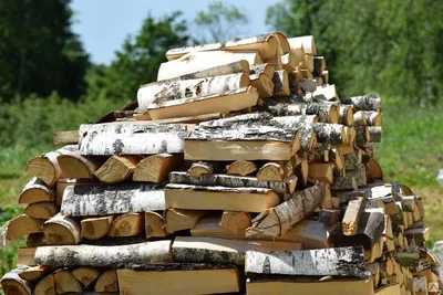 Продам дрова в мешках: 250 грн. - Отопление Павлоград на Olx