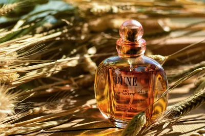 МОЙПАРФЮМ: духи Christian Dior Dune Pour Homme для мужчин купить в  интернет-магазине. Отзывы, цены