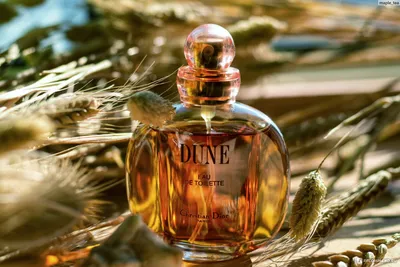 Купить DIOR (Диор) Dune Eau de Toilette Туалетная вода Spray Спрей, 50 мл в  интернет-магазине Diskontshop.eu Германия всего за 10 224 руб. в