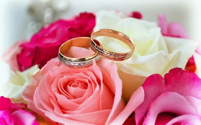Купить Новый стиль, высокое качество, два цвета, инкрустированные ракушками  и хрустальным кольцом, брендовые женские обручальные кольца, роскошные  ювелирные изделия, женское обручальное кольцо | Joom