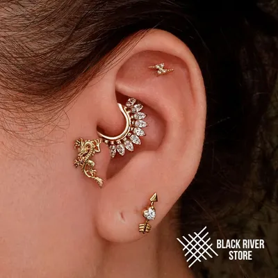 1,2,3,4,5 or 6? | Ear piercings, Ear piercing studs, Ear piercings cartilage