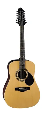 GregBennett D2/12 Акустическая двенадцатиструнная гитара - купить с  доставкой по выгодным ценам в интернет-магазине OZON (502923784)
